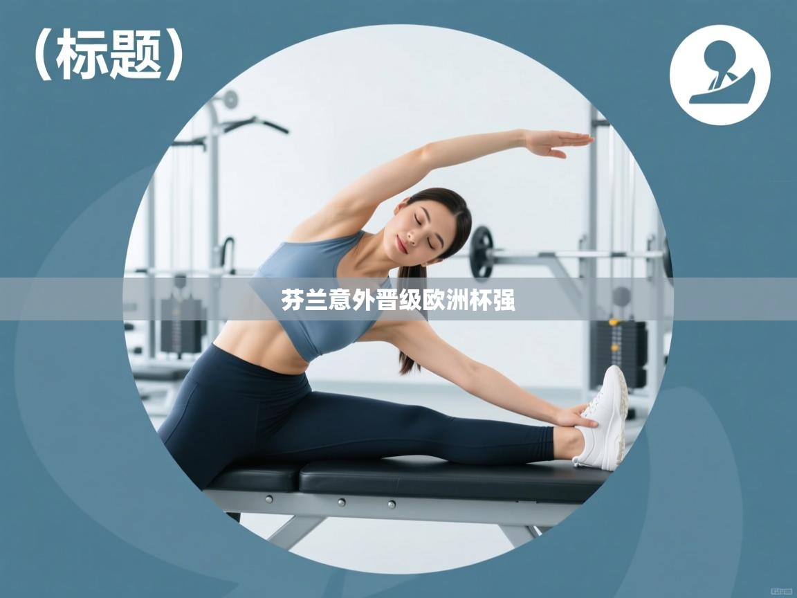 芬兰意外晋级欧洲杯强